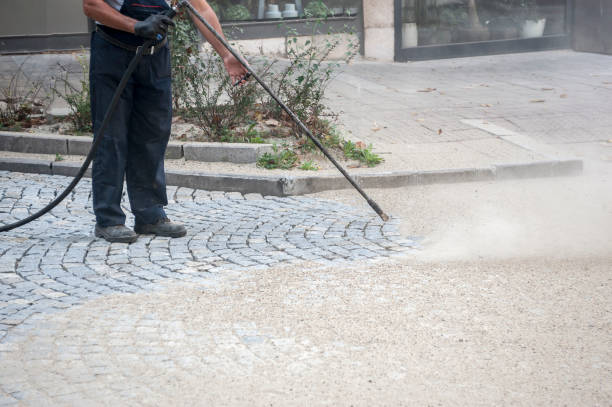 Best Sidewalk and Walkway Cleaning  in Forestville, CA