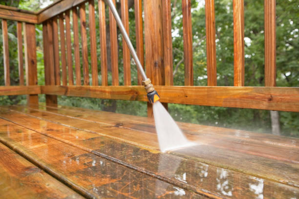 Spring Cleaning in Forestville, CA